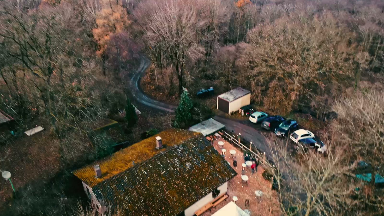 Bewaldeter Hang des Hohenseelbachskopfs aus der Luft